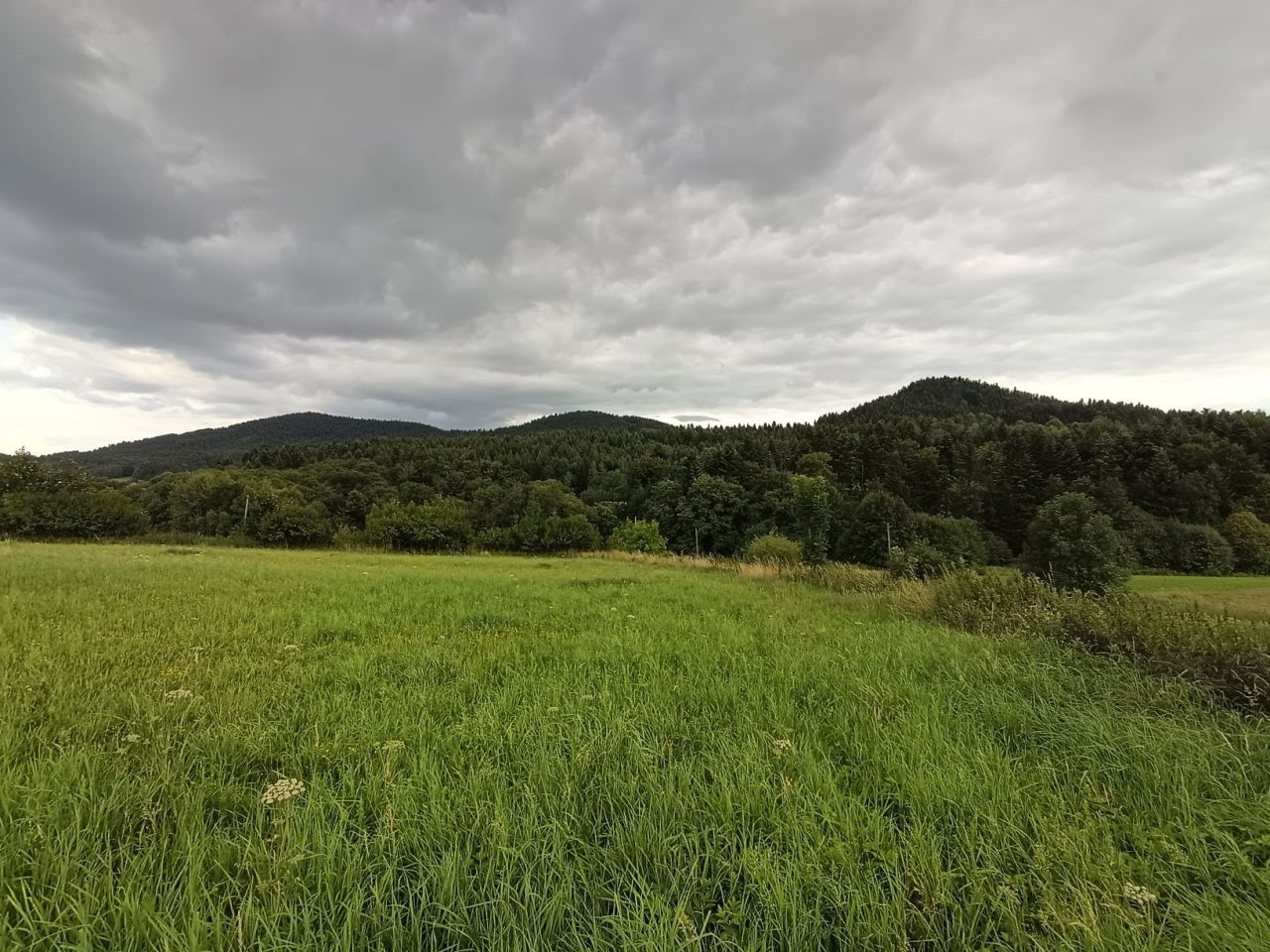 Działka rolno-budowlana Rupniów. Zdjęcie 8