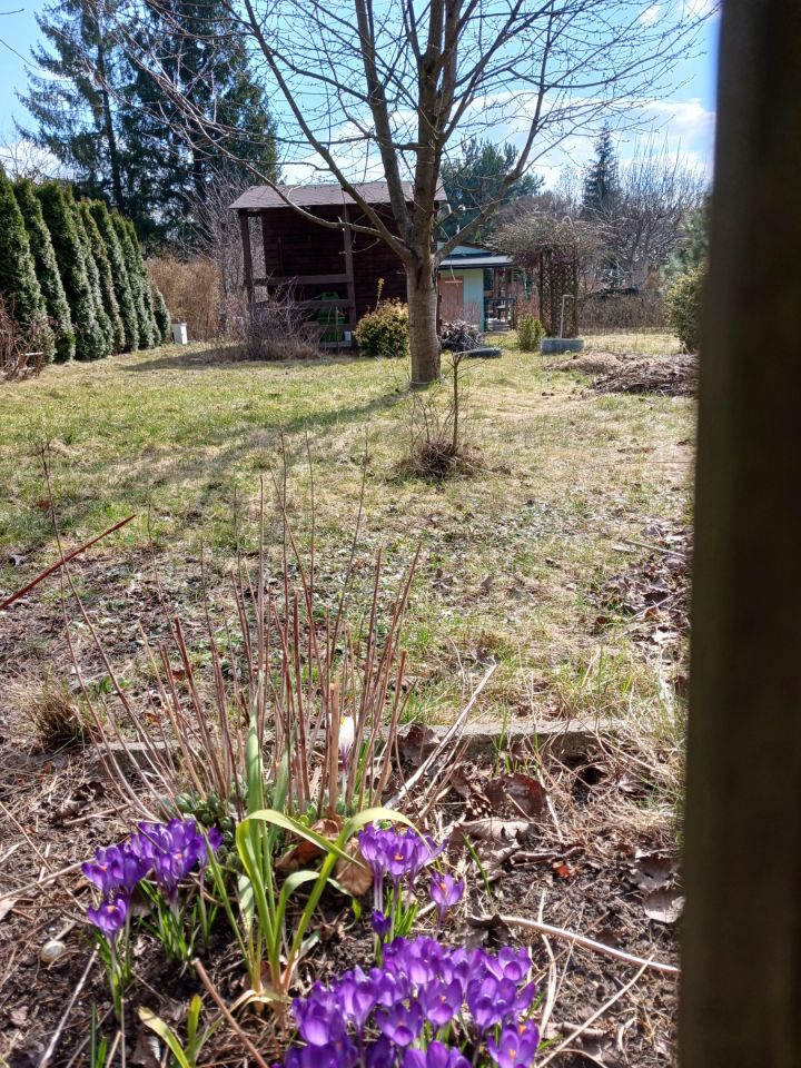 Działka rod Łódź Widzew, Telefoniczna 29A. Zdjęcie 4