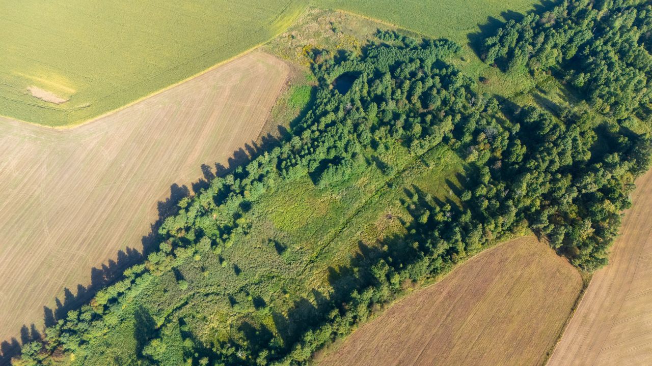 Działka rolno-budowlana Gołębiewo. Zdjęcie 7