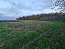 Działka budowlana Marchwacz. Zdjęcie 3