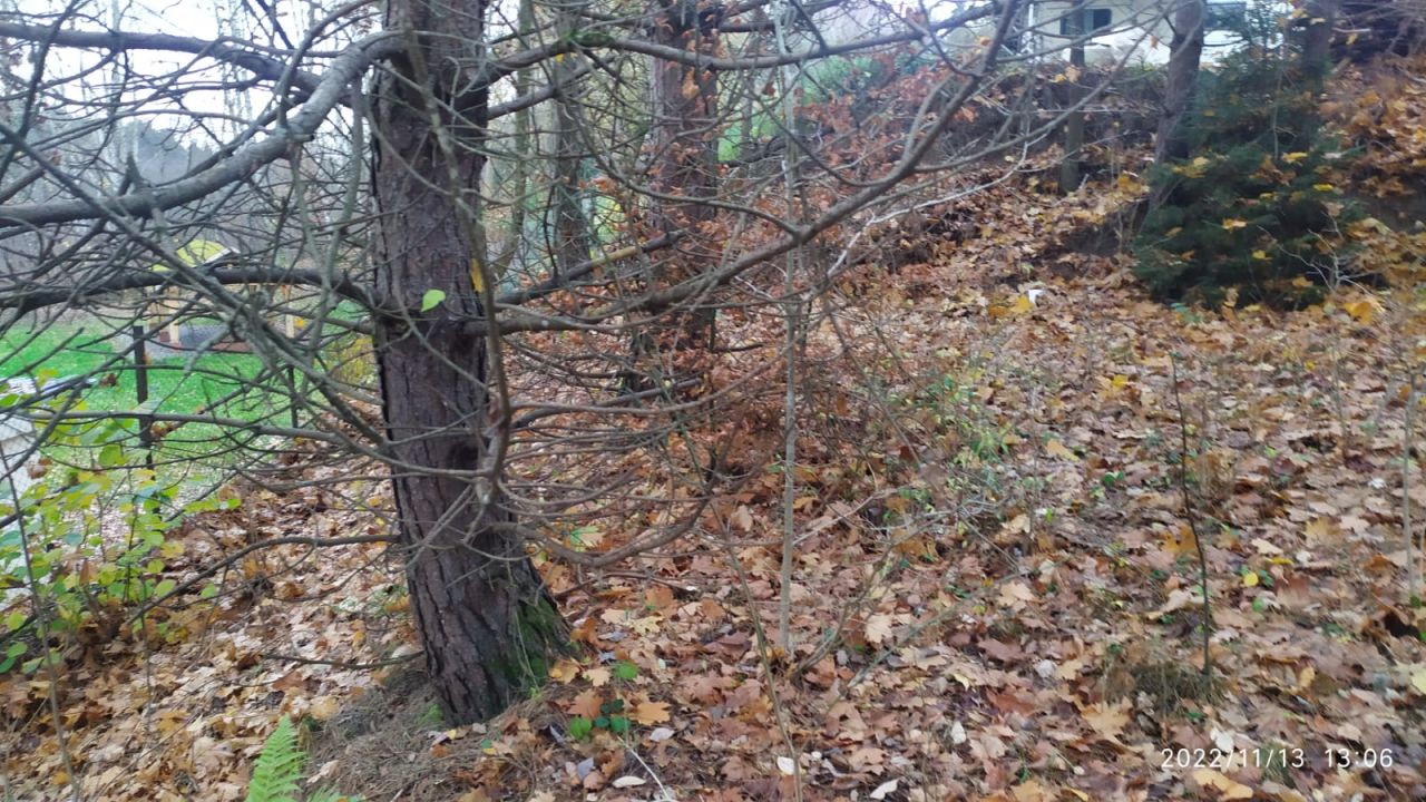 Działka inna Żabi Róg. Zdjęcie 8