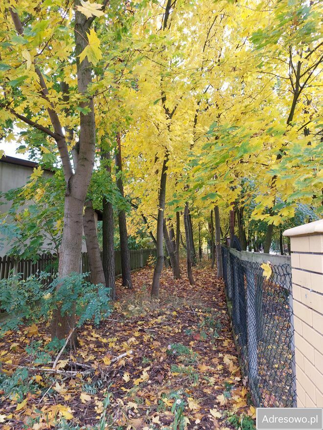 Działka budowlana Groszowice. Zdjęcie 3