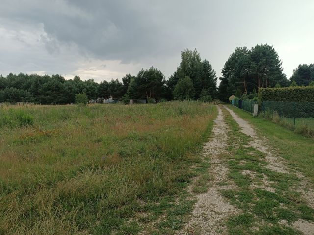 Działka budowlana Dąbie. Zdjęcie 1