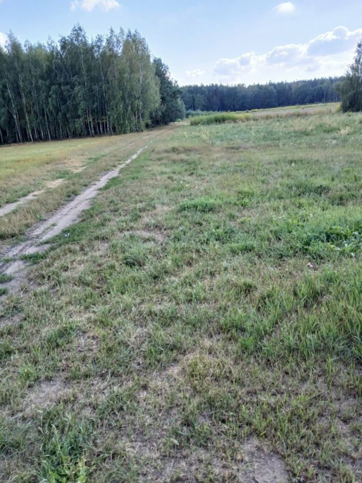 Działka budowlana Niwiski. Zdjęcie 5