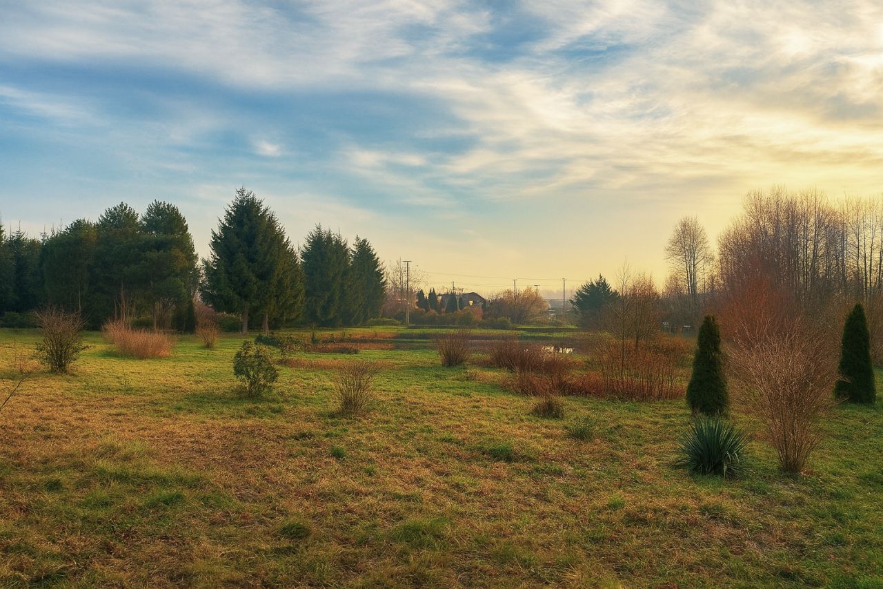Działka budowlana Kikół, ul. Polna. Zdjęcie 5