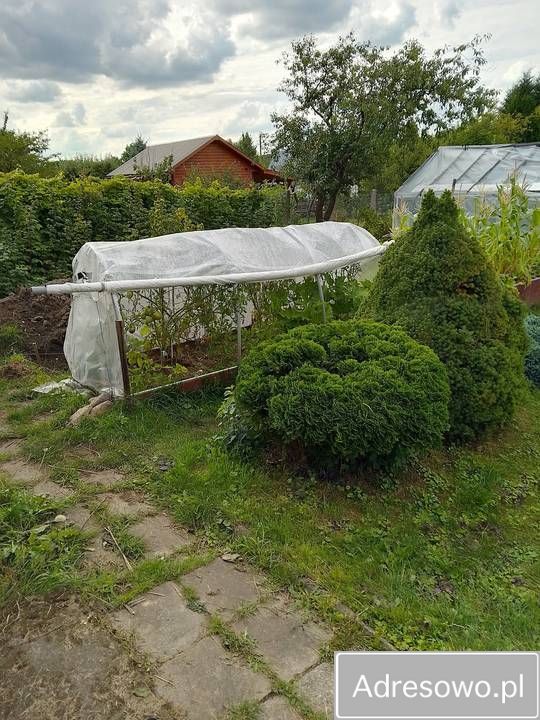 Działka rod Białystok Dojlidy, ul. płk. Czesława Hake. Zdjęcie 11