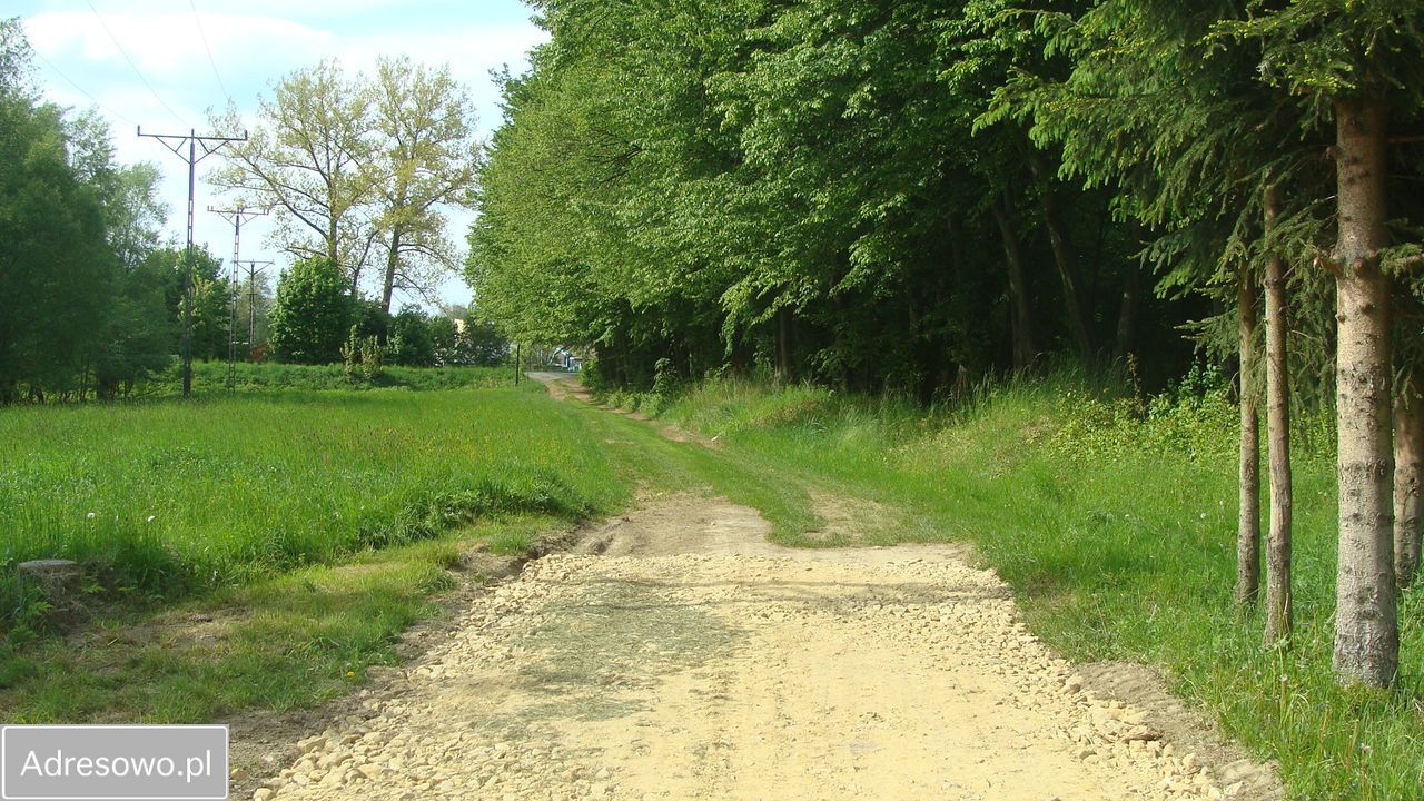 Działka rolna Domaszków, ul. Kolejowa. Zdjęcie 7