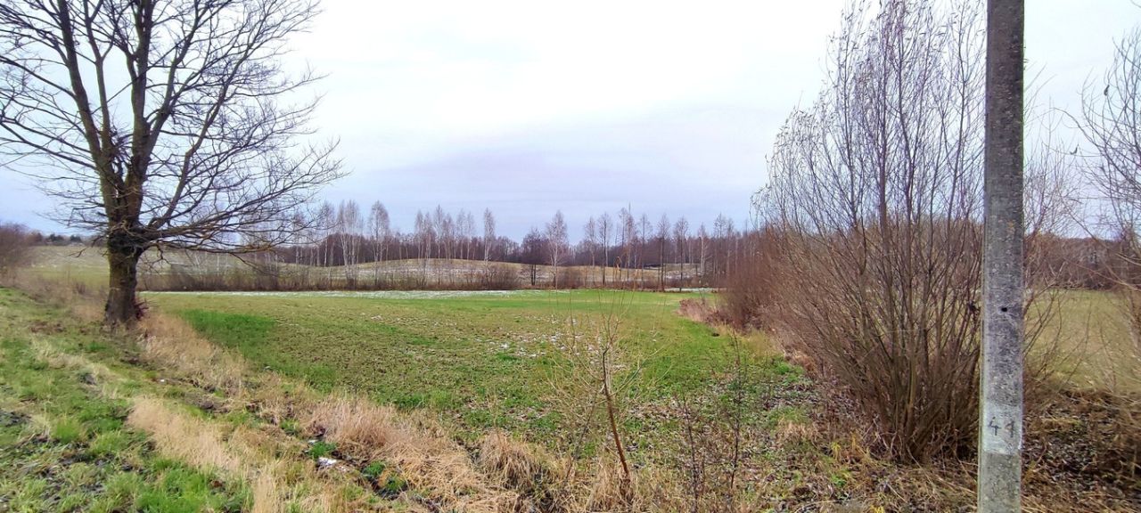 Działka rolno-budowlana Kroszewo. Zdjęcie 7