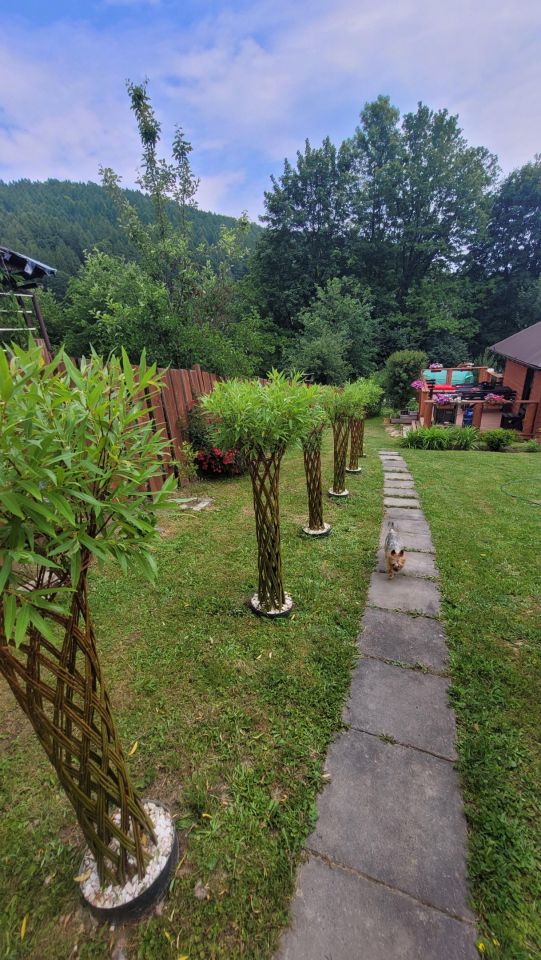 Działka rod Ustrzyki Dolne Pod Dębami. Zdjęcie 12