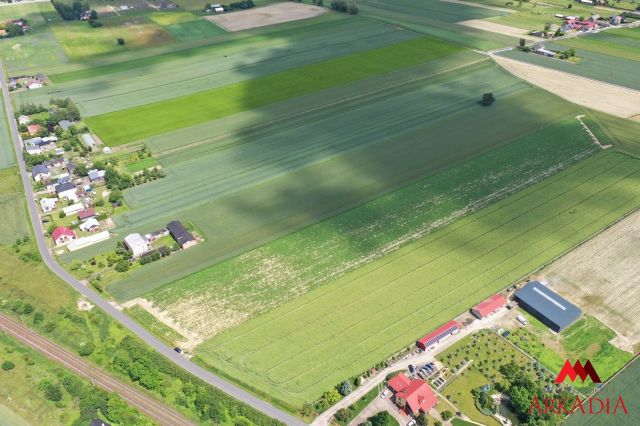Działka rolna Gołaszewo. Zdjęcie 7