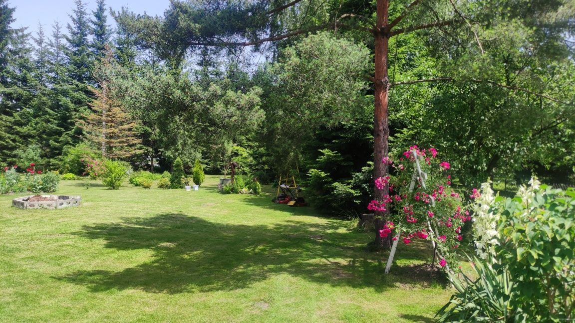 Działka budowlana Niechobrz. Zdjęcie 3