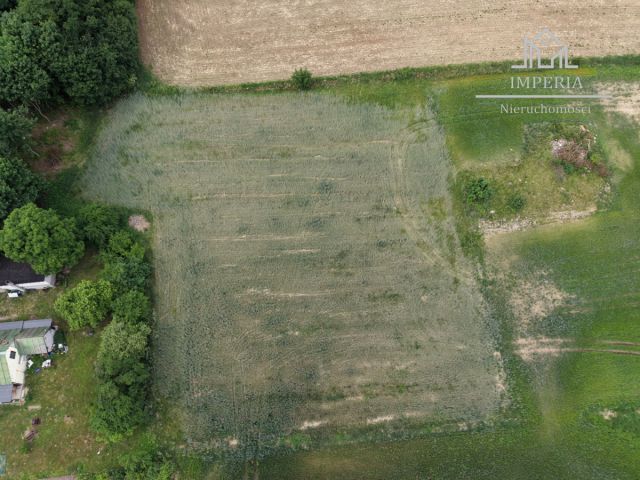 Działka rolna Bolesławowo. Zdjęcie 2