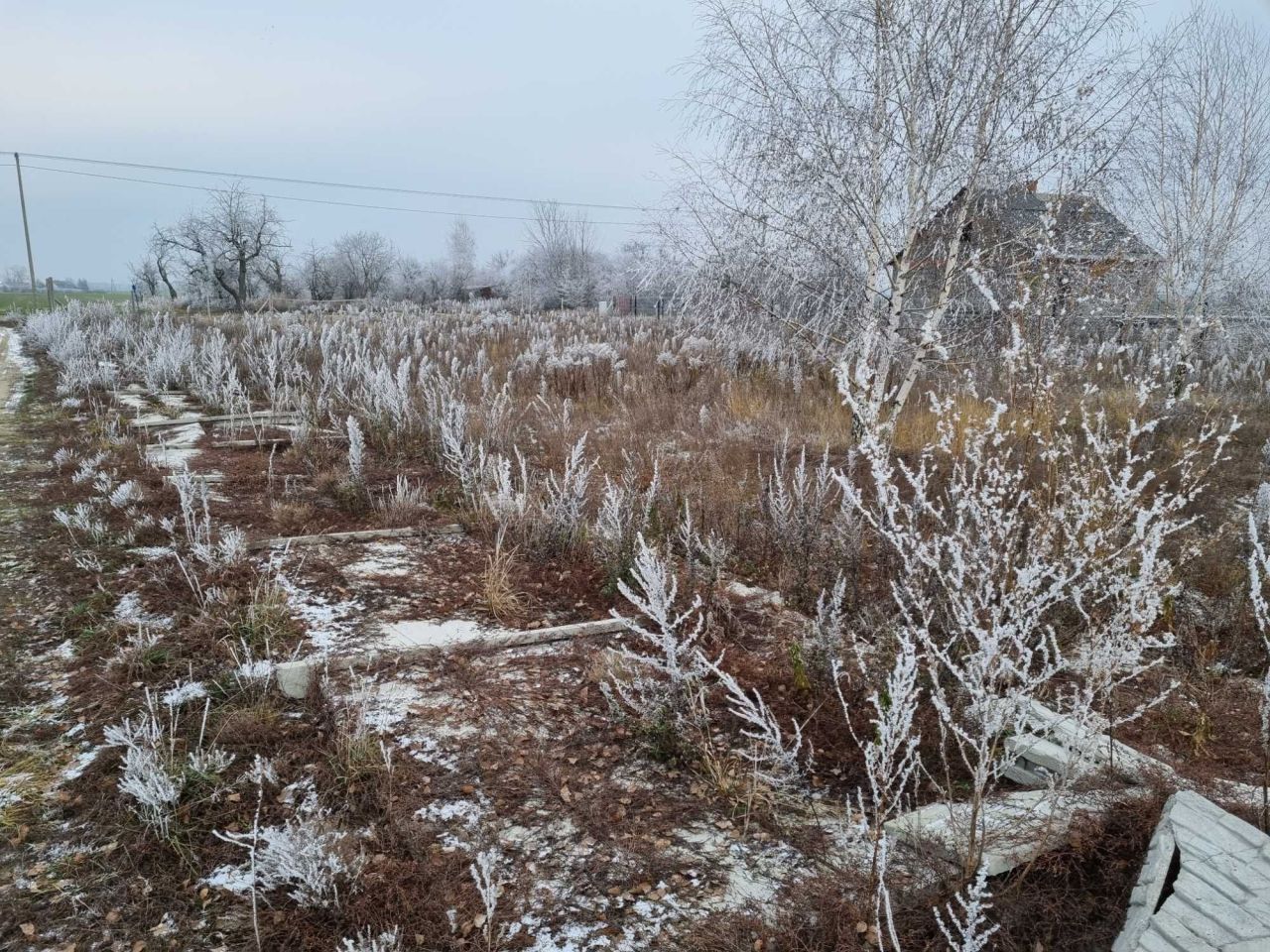 Działka budowlana Henrykowo. Zdjęcie 3
