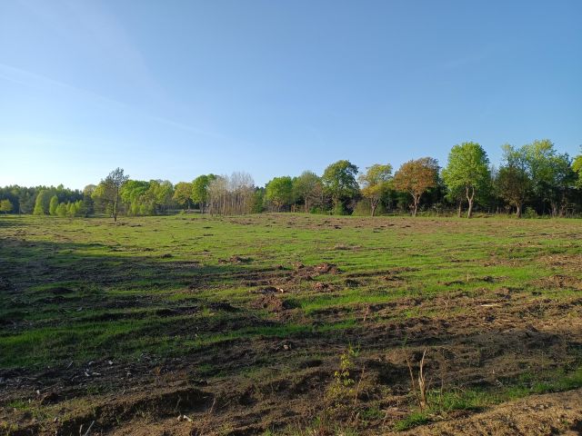 Działka budowlana Darżkowo. Zdjęcie 4