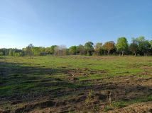 Działka budowlana Darżkowo. Zdjęcie 3