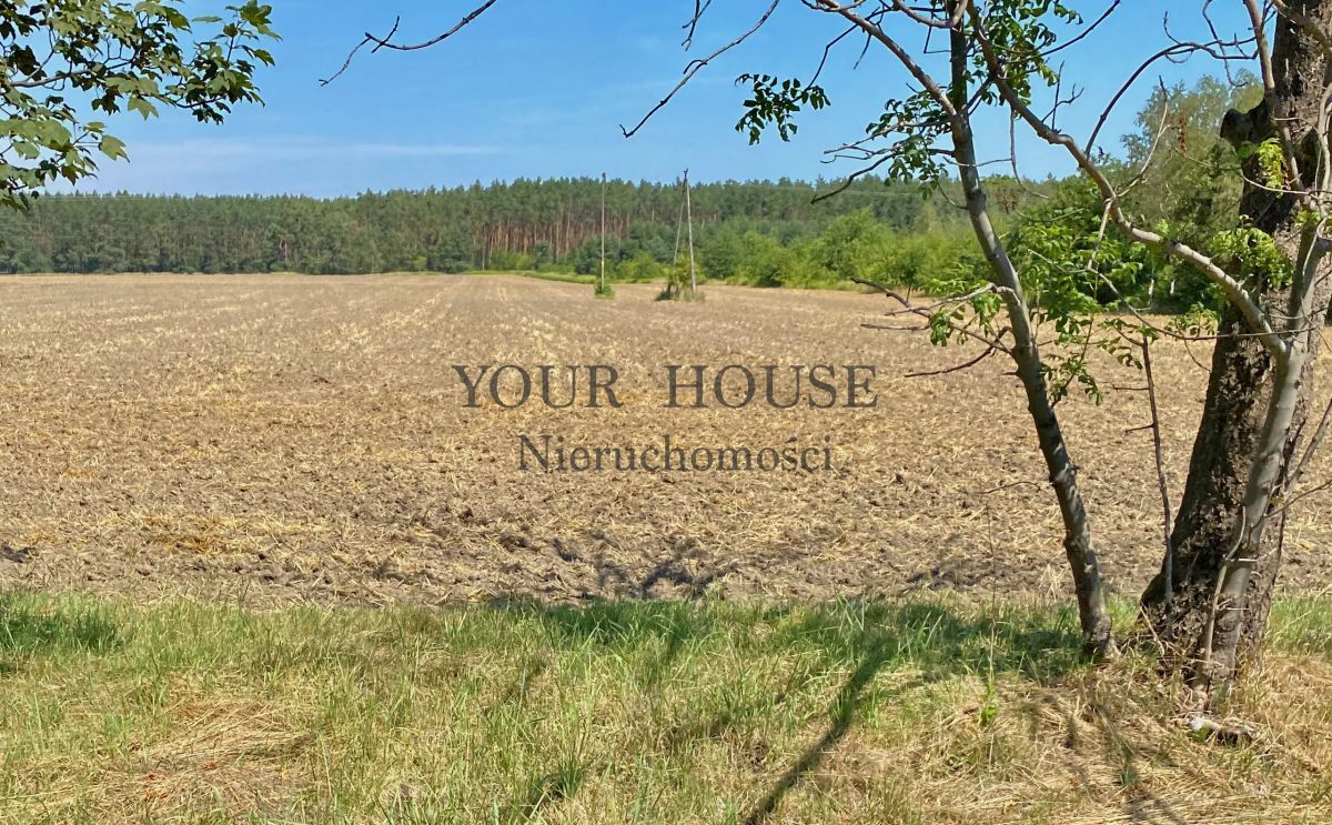 Działka budowlana Miłoszyce. Zdjęcie 2