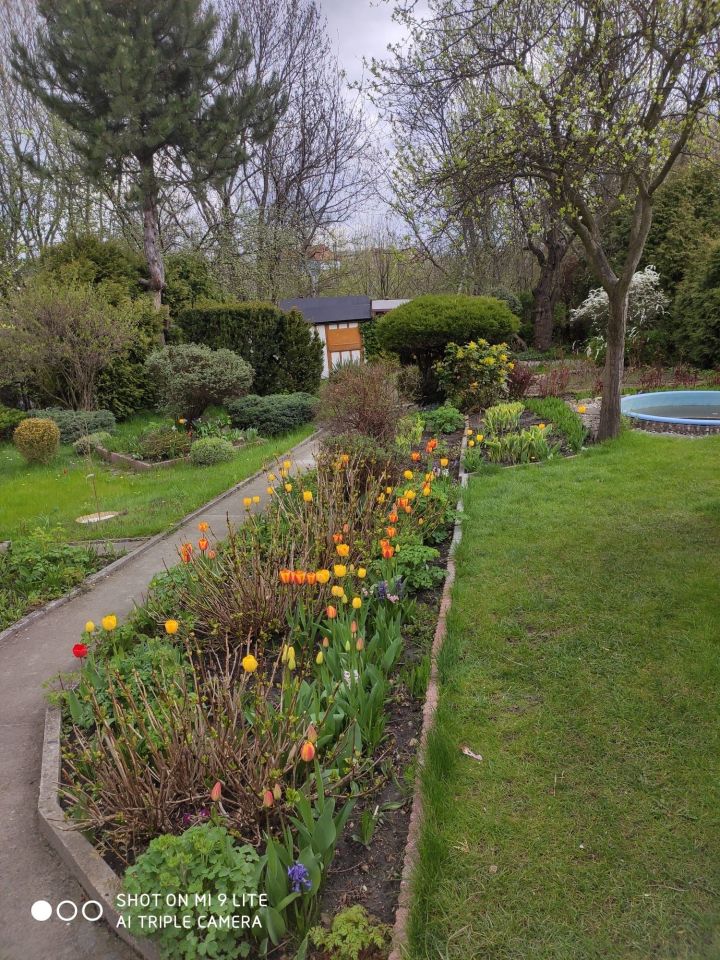 Działka rod Bytom Szombierki, ul. Zabrzańska. Zdjęcie 3