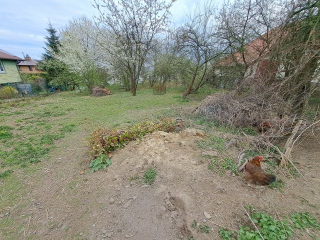 Działka rolna Rzeszów Staroniwa, ul. Rolnicza. Zdjęcie 2