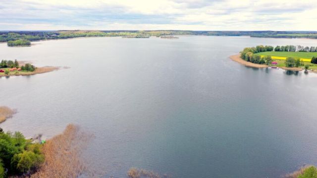 Działka budowlana Kaczory. Zdjęcie 9