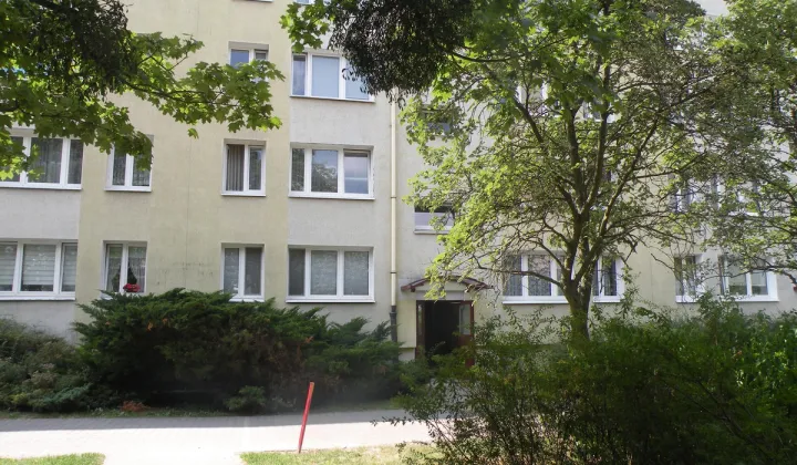 Mieszkanie 3-pokojowe Poznań Winogrady, os. Zwycięstwa