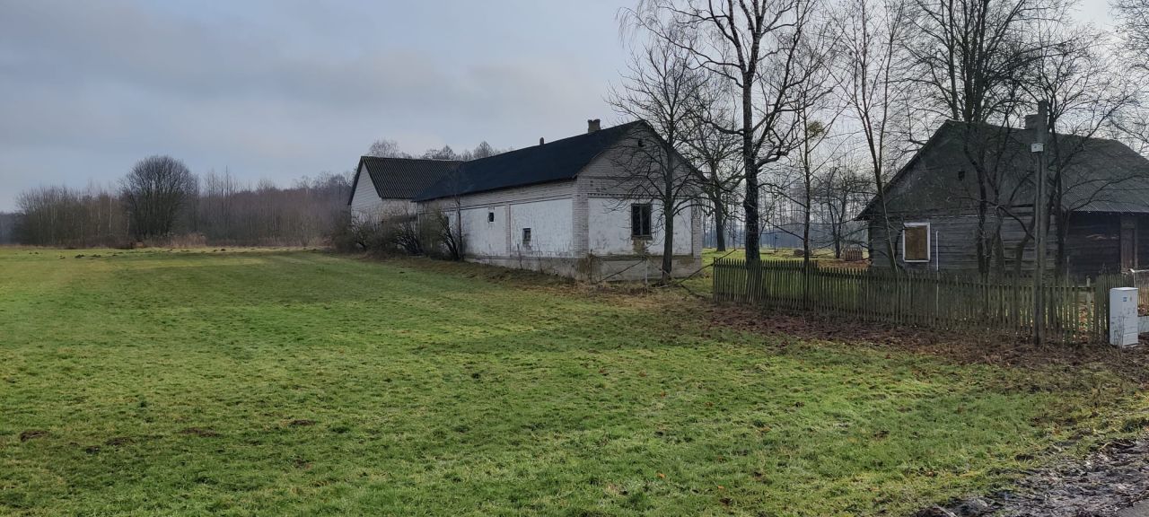 Działka siedliskowa Kapice. Zdjęcie 2