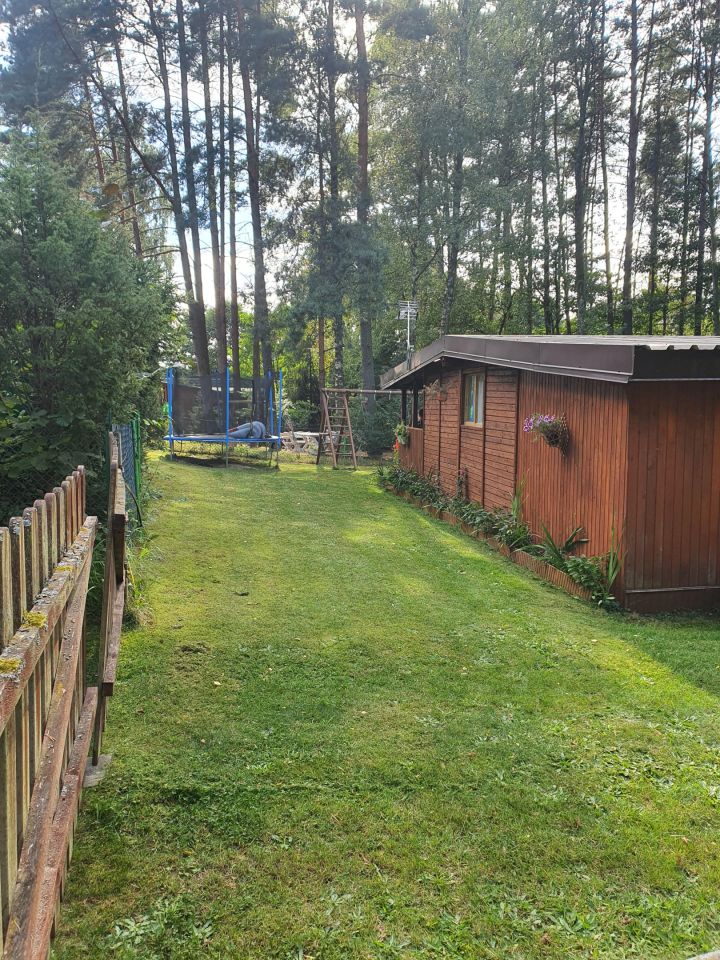 Działka rekreacyjna Rybno. Zdjęcie 5