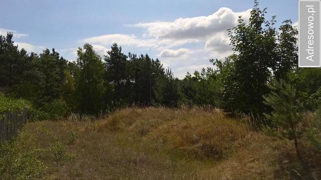 Działka budowlana Łowyń, ul. Nadjeziorna. Zdjęcie 7