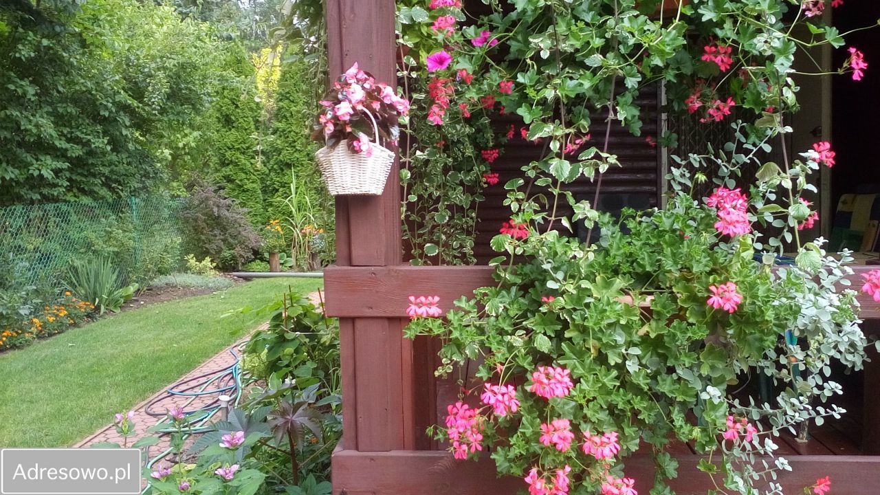 dom letniskowy, 3 pokoje Borzychy. Zdjęcie 7