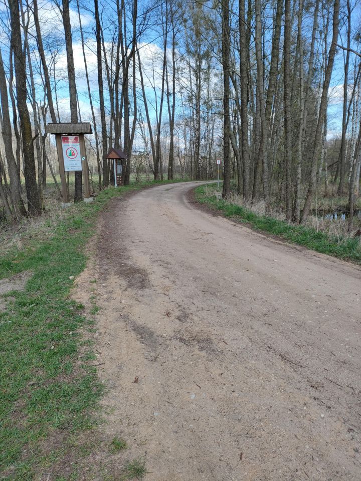 Działka rekreacyjna Wólka Piaseczna. Zdjęcie 4