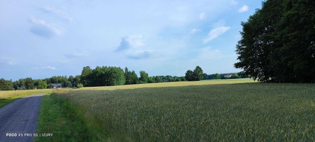 Działka rolno-budowlana Filipinów. Zdjęcie 1