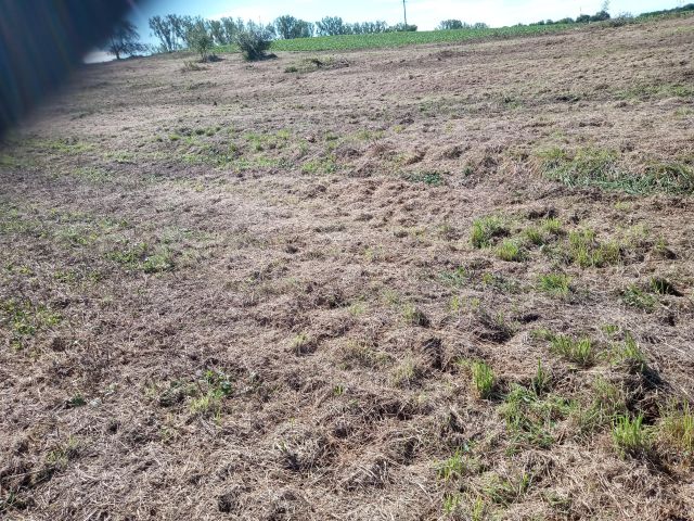 Działka inwestycyjna Kraków Olszanica, al. 29 Listopada. Zdjęcie 1