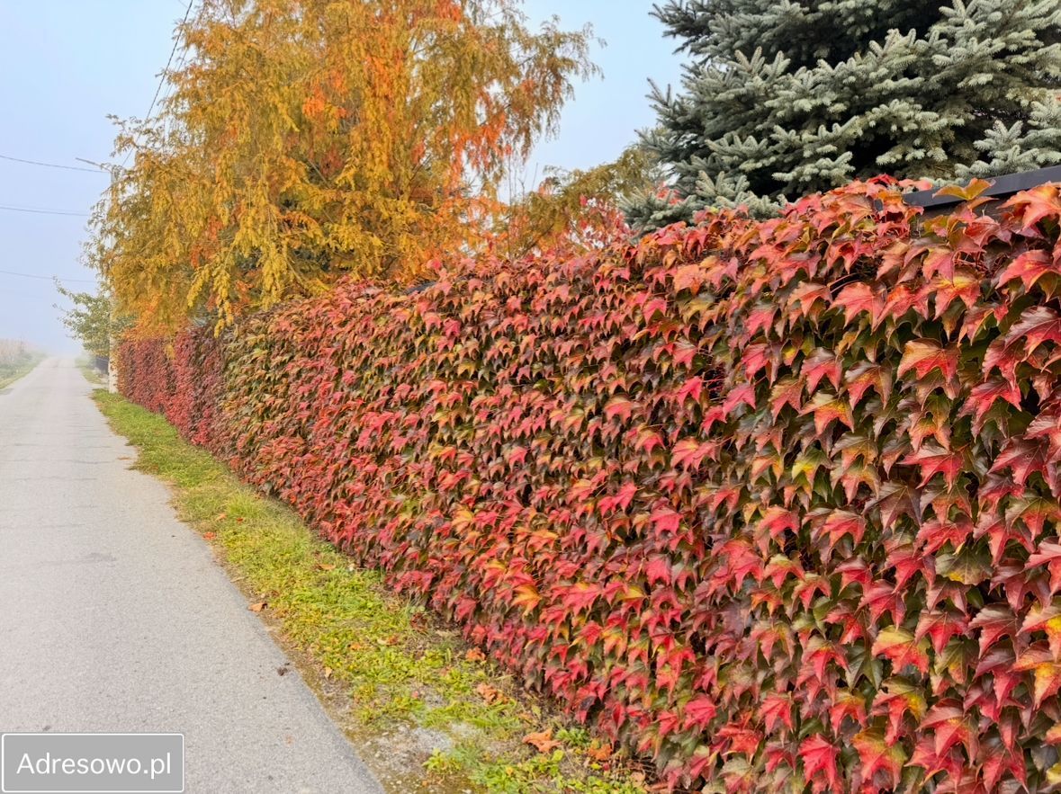 dom wolnostojący, 6 pokoi Zawierzbie. Zdjęcie 9