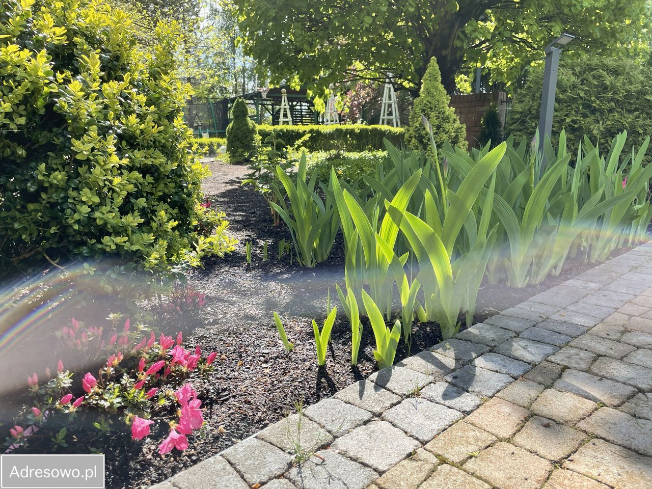 dom wolnostojący, 7 pokoi Dolaszewo, ul. Klonowa. Zdjęcie 7