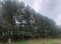 Działka budowlana Ruda, ul. Ogrodowa. Zdjęcie 1