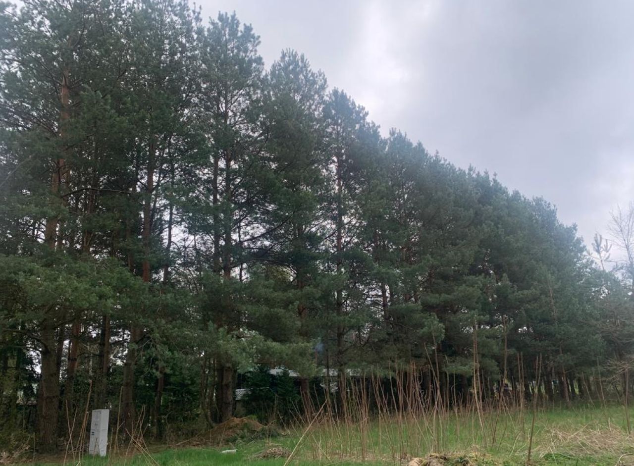 Działka budowlana Ruda, ul. Ogrodowa. Zdjęcie 2