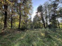 Działka budowlana Rudnik Wielki, ul. Nowa. Zdjęcie 4