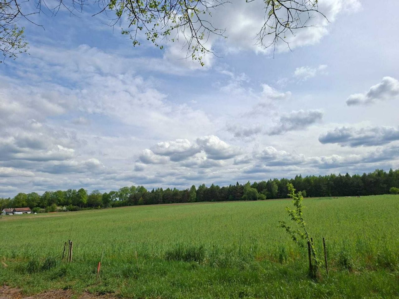 Działka rolna Łukta. Zdjęcie 2