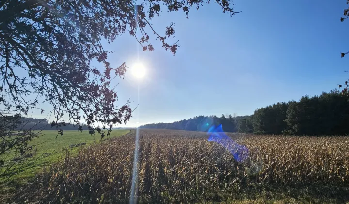 Działka rolna Radecz, Radecz