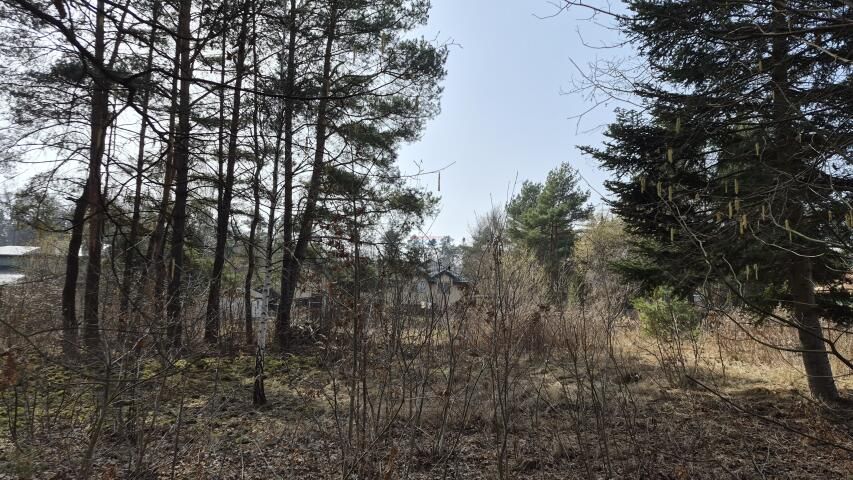 Działka budowlana Pilawa. Zdjęcie 2