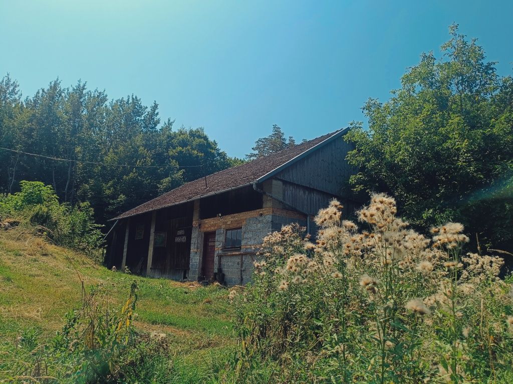 dom wolnostojący Frysztak. Zdjęcie 8