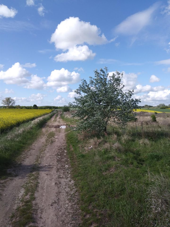 Działka rolno-budowlana Ustowo. Zdjęcie 5