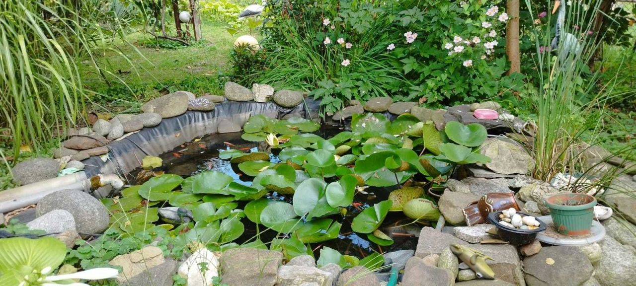 Działka rod Kraków Podgórze, ul. gen. Henryka Kamieńskiego. Zdjęcie 3