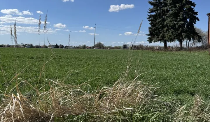 Działka rolna Wola Zabierzowska