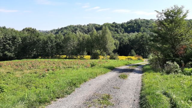 Działka budowlana Wrząsowice, ul. Zaogrodzie. Zdjęcie 1