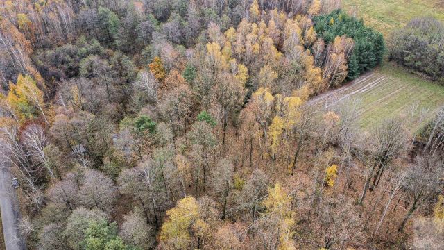 Działka Majdan Sieniawski. Zdjęcie 1