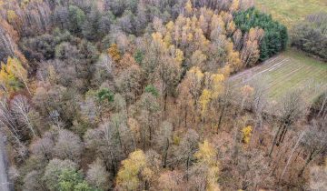 Działka Majdan Sieniawski