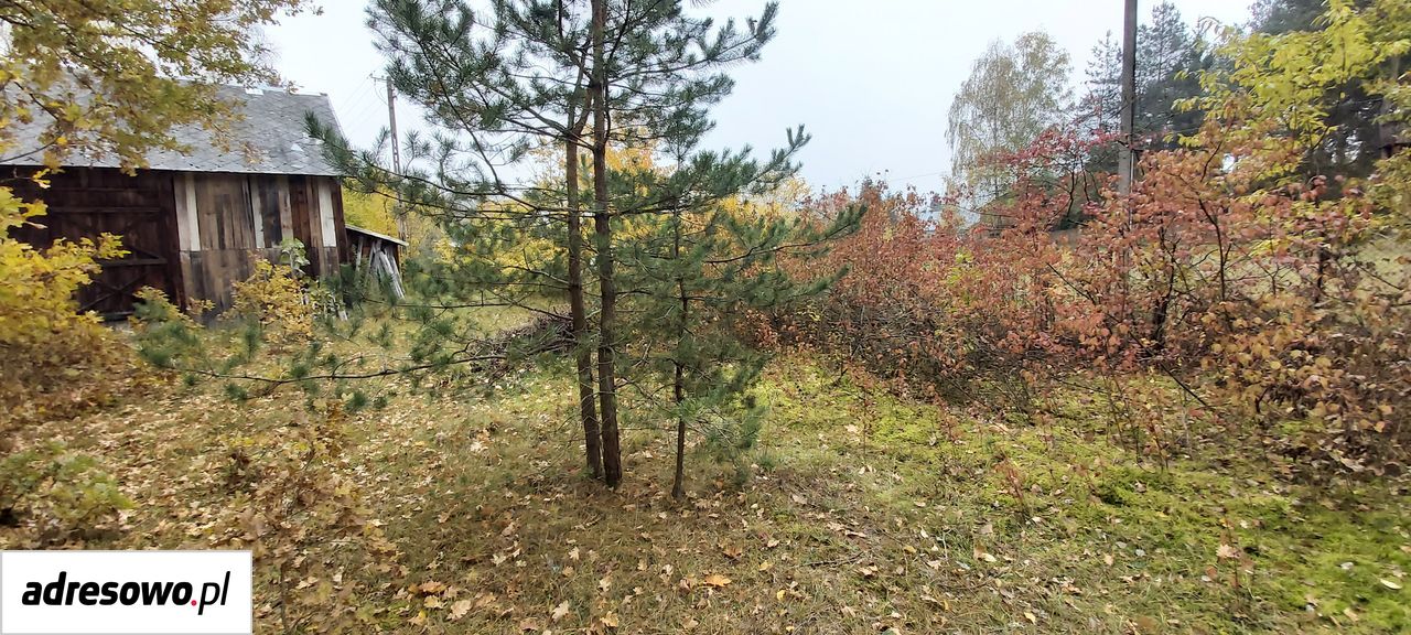 Działka rekreacyjna Serpelice. Zdjęcie 6