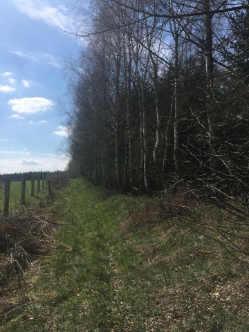 Działka rolna Lepaki Wielkie. Zdjęcie 4