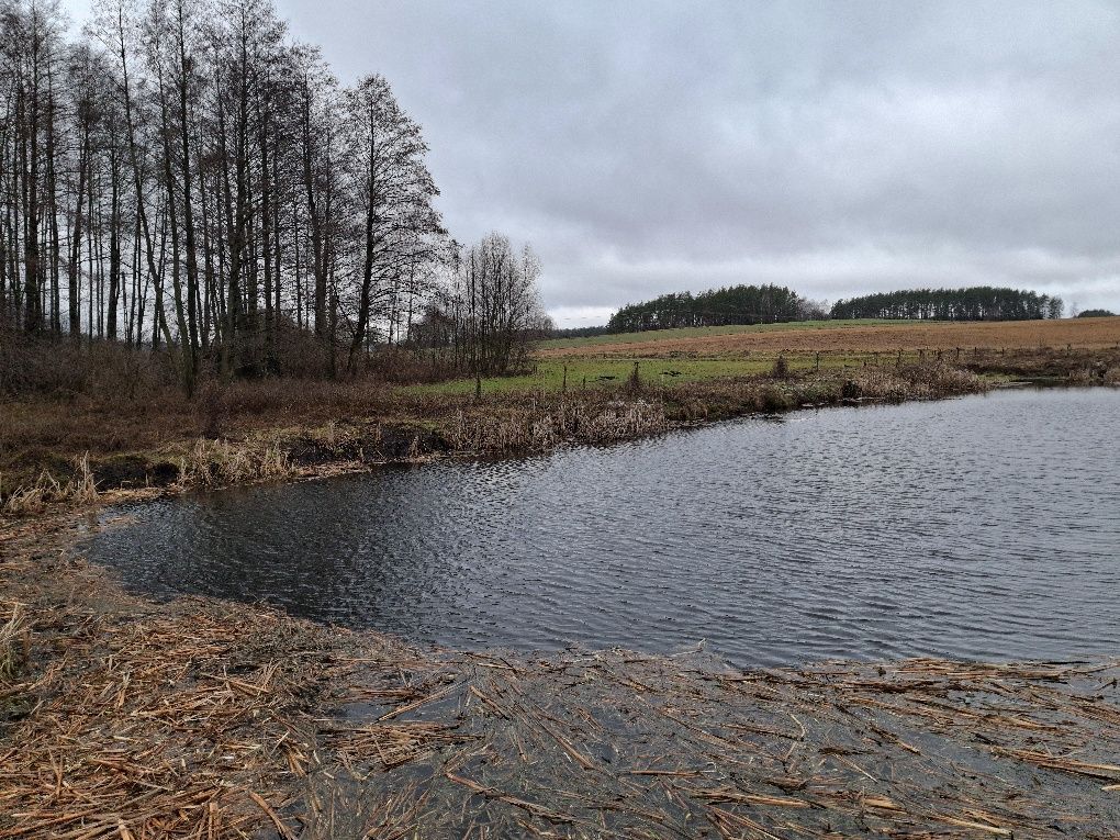 Działka rolna Stara Kamionka. Zdjęcie 3