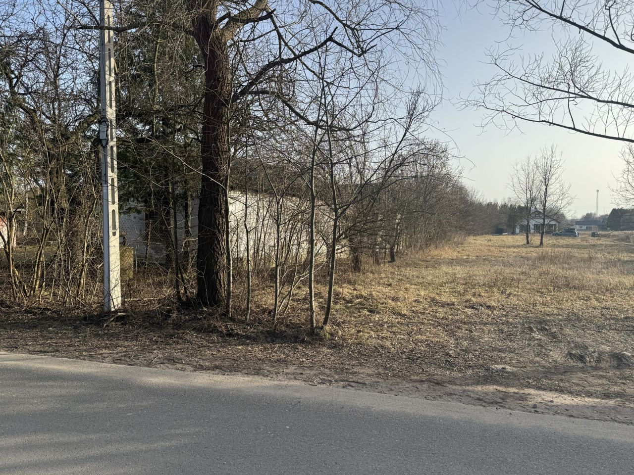 Działka siedliskowa Krzewina, Krzewina. Zdjęcie 15